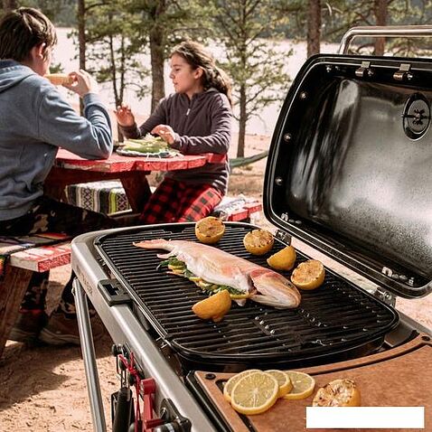 Газовый гриль для дачи Weber Traveler (черный)