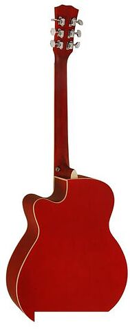 Акустическая гитара Elitaro E4020 RDS