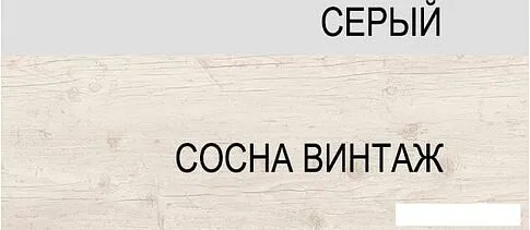 Шкаф напольный Anrex Alesia 1S/60-F1 (серый/сосна винтаж)