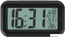 Радиочасы Ritmix CAT-100 (черный)