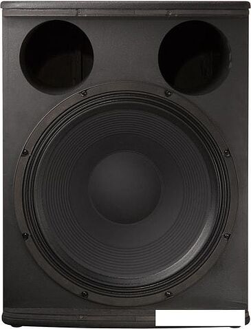 Концертная акустика Electro-Voice ELX118