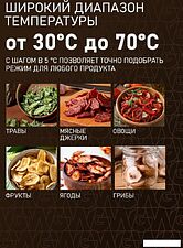 Сушилка для овощей и фруктов Weissgauff WDH 100 Smart Dry