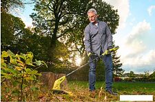 Триммер Ryobi RY36LT33A-0 (без АКБ)