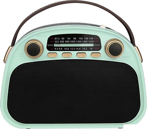 Радиоприемник Ritmix RPR-040 (мятный)