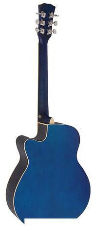 Акустическая гитара Elitaro E4020 BLS