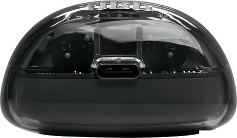 Наушники JBL Tune Flex 2 Ghost (черный)