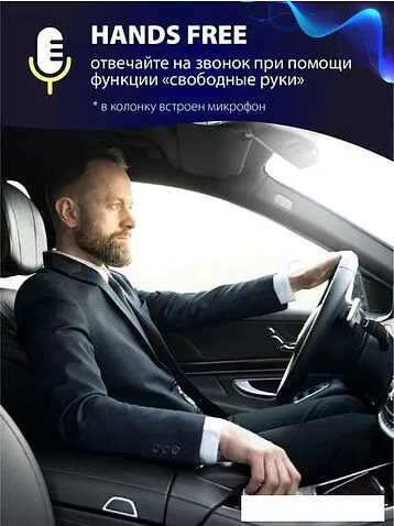 Беспроводная колонка Aiwa PAS-H200 (черный)