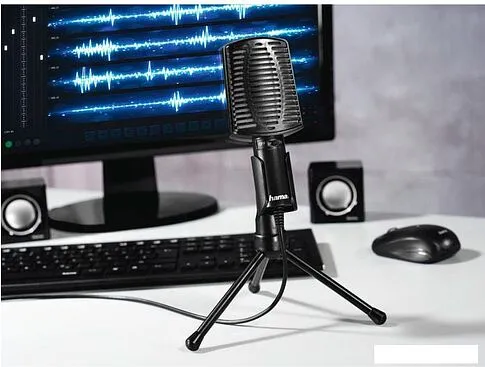 Микрофон Hama MIC-USB Allround 00139906