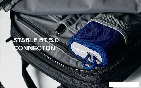 Беспроводная колонка Canyon CNE-CBTSP4DG