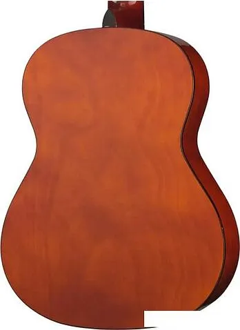 Акустическая гитара Naranda CG220-4/4