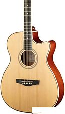 Акустическая гитара Naranda TG220CNA