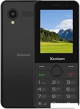 Кнопочный телефон Xenium X900 (черный)