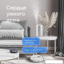 Умная колонка VK Капсула Мини (темно-серый) Умная колонка VK Капсула Мини (темно-серый)