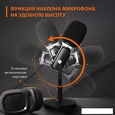 Проводной микрофон SunWind SW-SM500G