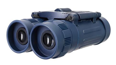 Бинокль Discovery Discovery Basics BB 8x21 79652