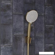 Душевая лейка IDDIS Optima Home OPH3FMGi18