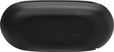 Наушники JBL Endurance Race 2 (черный)