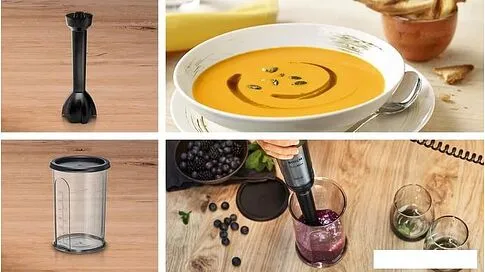 Погружной блендер Bosch MaxoMixx MS84CB6110