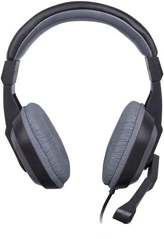 Наушники с микрофоном Ritmix RH-534M