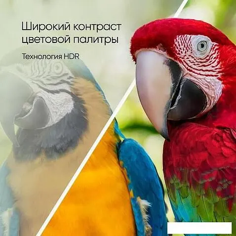 Телевизор Topdevice TDTV43CS05UML