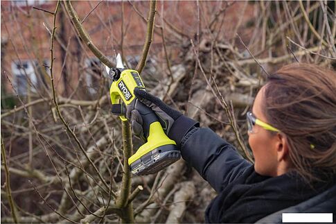 Секатор Ryobi RY18SCXA-120T (с 1-им АКБ 2 Ач, сумка)