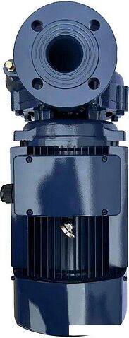 Циркуляционный насос Maxpump F 65-250/220