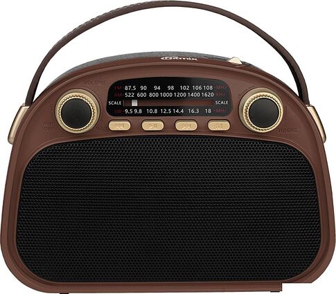 Радиоприемник Ritmix RPR-040 (шоколадный)
