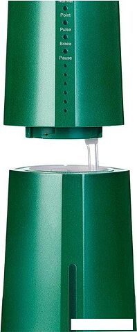 Ирригатор  Revyline RL 610 (зеленый)