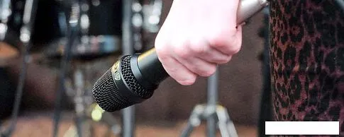 Микрофон Lewitt MTP 740 CM