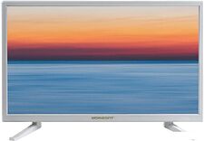 Телевизор Horizont 24LE5511D (белый)