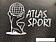 Батут Atlas Sport 490 см - 16ft Pro (с лестницей, внешняя сетка, сливовый)