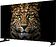Телевизор Topdevice 32" Google TV TDWC32BF5260V