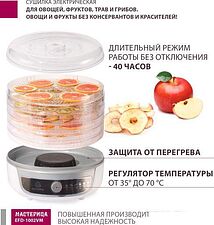 Сушилка для овощей и фруктов Мастерица EFD-1002VM