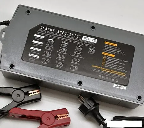 Зарядное устройство Беркут BCA-25