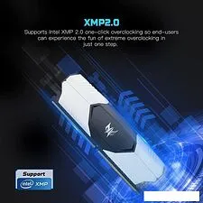 Оперативная память Acer Predator Talos 16ГБ DDR4 3200 МГц BL.9BWWR.212 Оперативная память Acer Predator Talos 16ГБ DDR4 3200 МГц BL.9BWWR.212