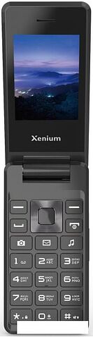 Кнопочный телефон Xenium X600 (темно-серый)
