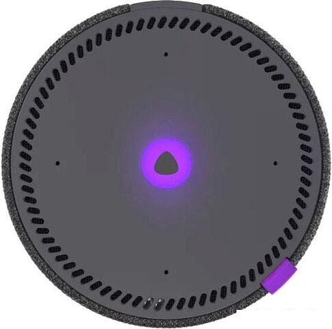 Беспроводная аудиосистема Яндекс Станция Мини (черный)