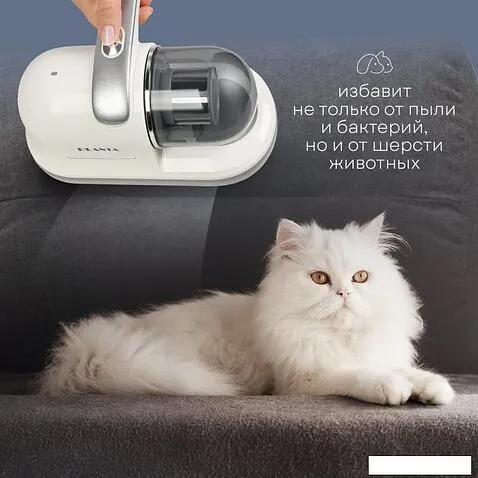 Пылесос для удаления пылевых клещей Planta PL-VCD01