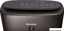 Климатический комплекс Sharp KIN-41RH