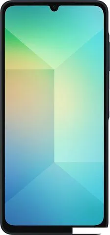 Смартфон Samsung Galaxy A06 SM-A065F 4GB/128GB (черный)