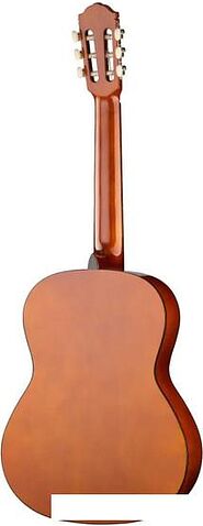 Акустическая гитара Naranda CG120-4/4