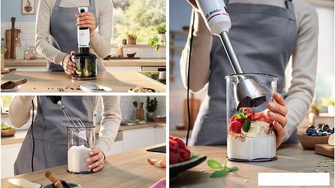 Погружной блендер Bosch ErgoMaster MSM4W421