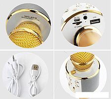Микрофон Wster WS-858 (золотистый)