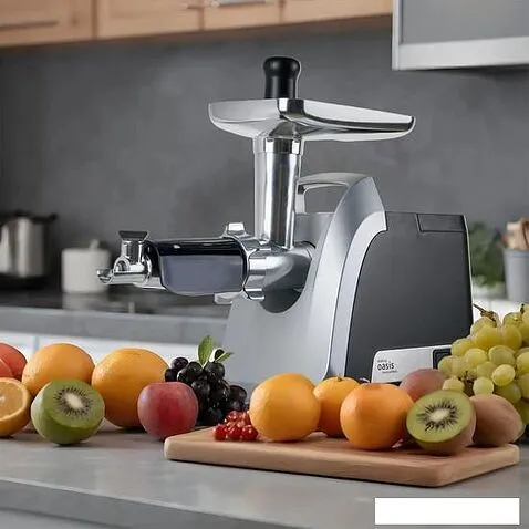 Мясорубка Oasis (Making Oasis Everywhere) MG-TK3