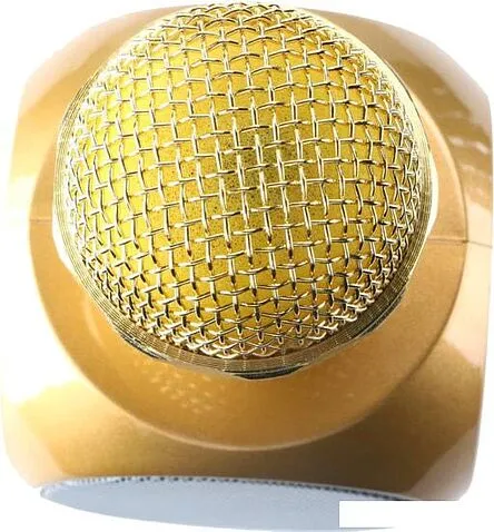 Микрофон Wster WS-1816 (золотистый)