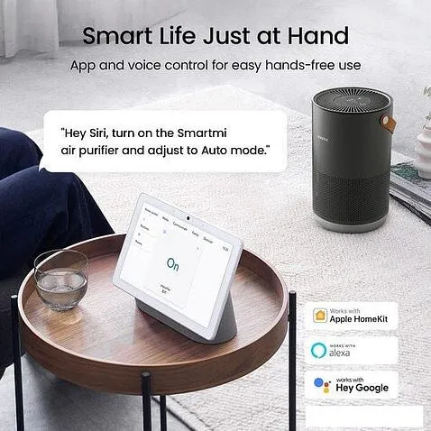 Очиститель воздуха SmartMi Air Purifier P1 ZMKQJHQP11 (темно-серый)