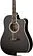 Акустическая гитара Naranda TG220CBK