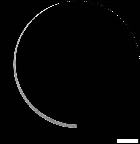 Варочная панель Krona Neckar 60 BL