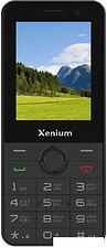Кнопочный телефон Xenium X900 (черный)