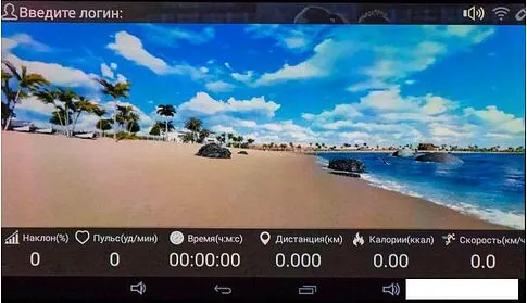 Электрическая беговая дорожка Titanium Masters Physiotech A460 TFT